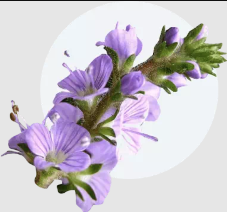 Exofeet Oil - cena w aptece, na allegro. Ile kosztuje? Strona producenta